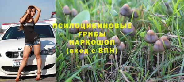 мяу мяу мука Сосновоборск