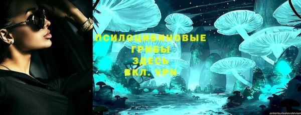 ПСИЛОЦИБИНОВЫЕ ГРИБЫ Тында
