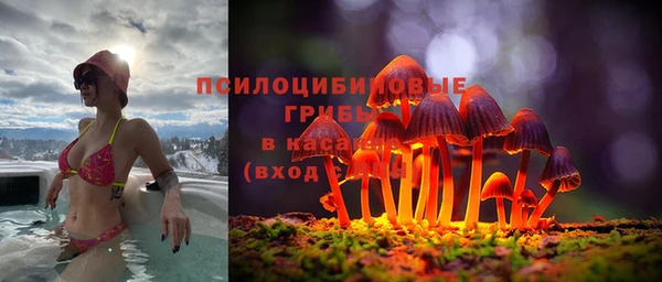ALPHA PVP Новозыбков