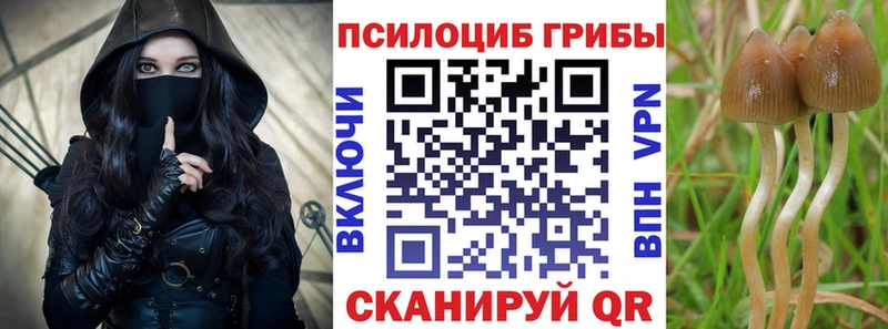 закладка  Находка  Галлюциногенные грибы мицелий 