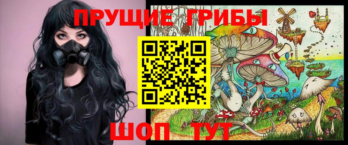 Псилоцибиновые грибы мухоморы  Псилоцибиновые грибы Cubensis  Находка  Вход с VPN 